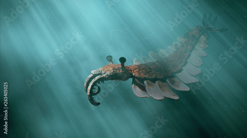 Anomalocaris, prehistoric creature of the Cambrian period (3d science illustration) photo