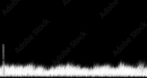 Faded grass sways in the wind. Seamless looping (loop). Transparent background, alpha channel and luma matte 59,94 fps