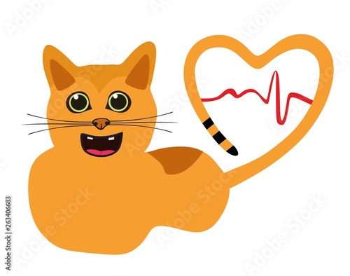 cat with tail in heart shape and cardiogram sign - first aid