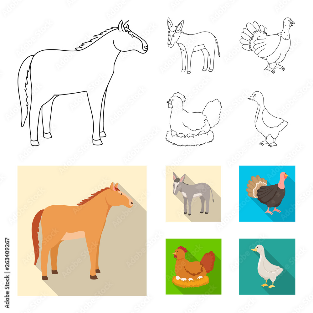 Isolated object of breeding and kitchen  icon. Collection of breeding and organic  vector icon for stock.