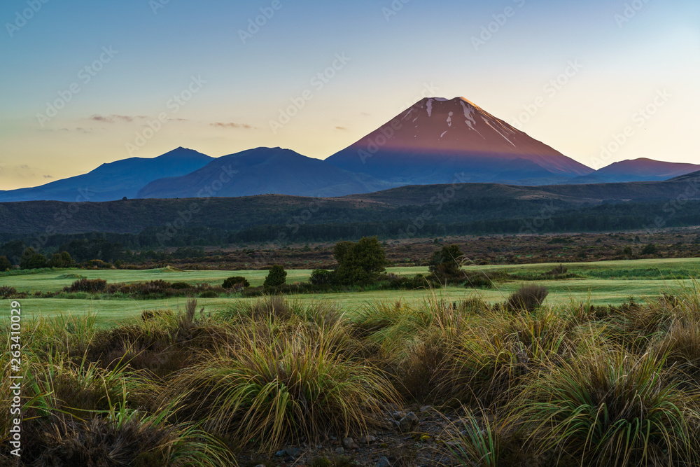 Obraz premium Cone volcano,sunrise,Mount Ngauruhoe,New Zealand 11