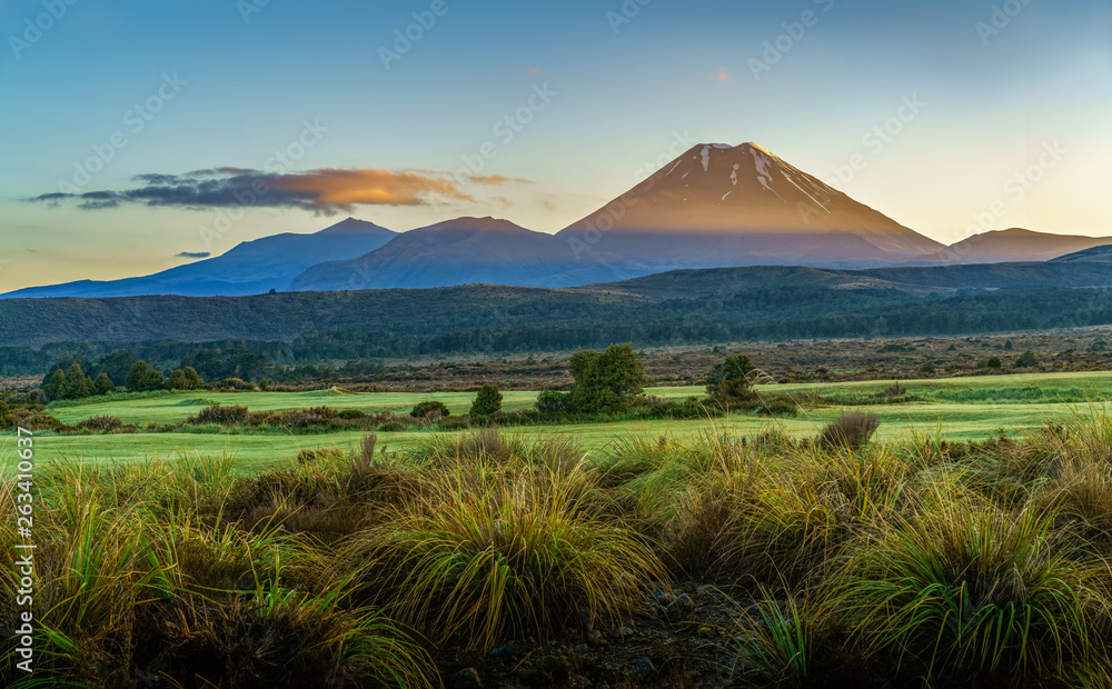 Cone volcano,sunrise,Mount Ngauruhoe,New Zealand 23