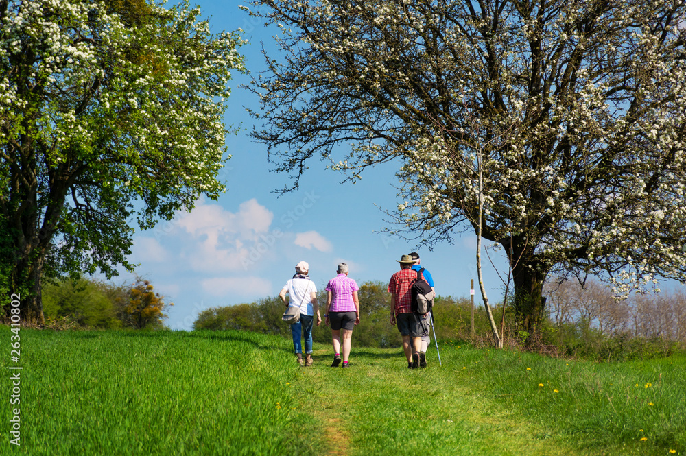 Fototapeta premium Saarland Landschaft Senioren Wanderer im Frühling bei Gisingen