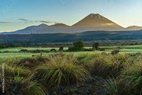 Cone volcano,sunrise,Mount Ngauruhoe,New Zealand 29