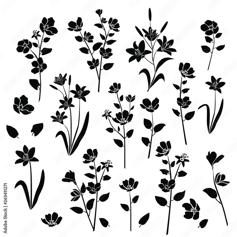 Set of silhouettes of branches Apple, cherry  and lily with flowers, black color, isolated on white background