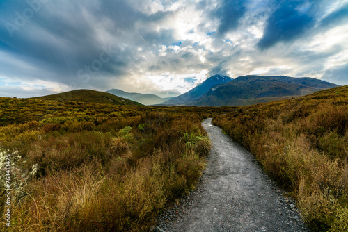 tongariro alpine crossing,cloudy, new zealand 3