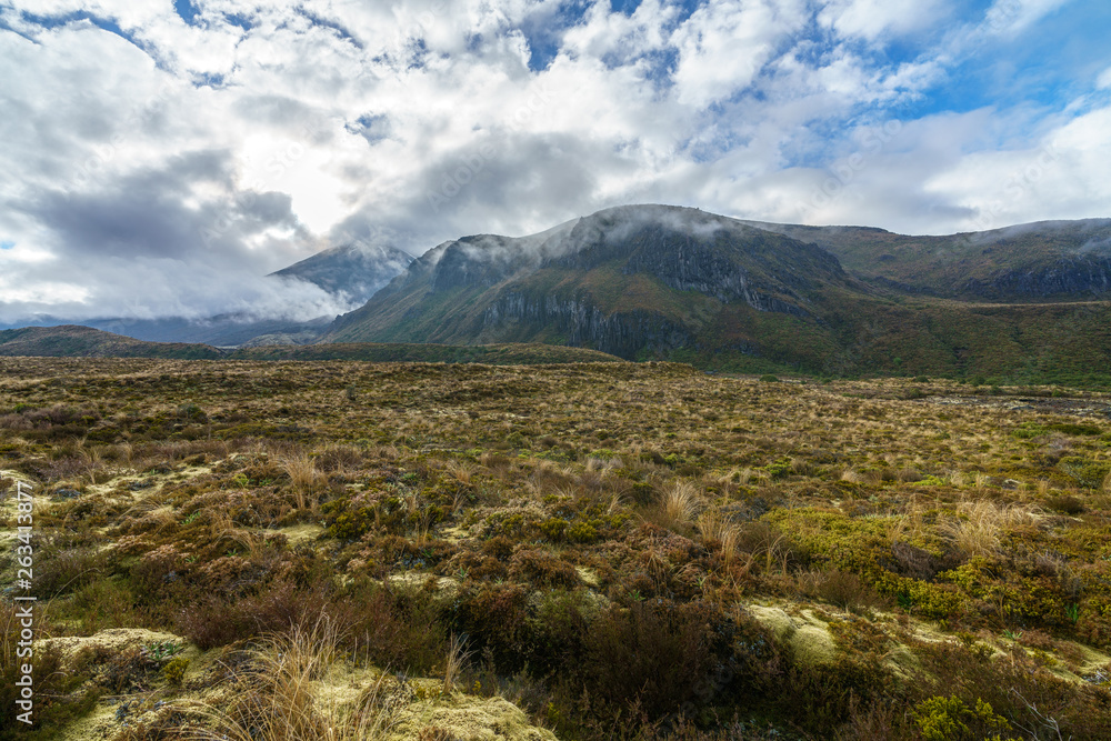 Fototapeta premium tongariro alpine crossing,cloudy, new zealand 9