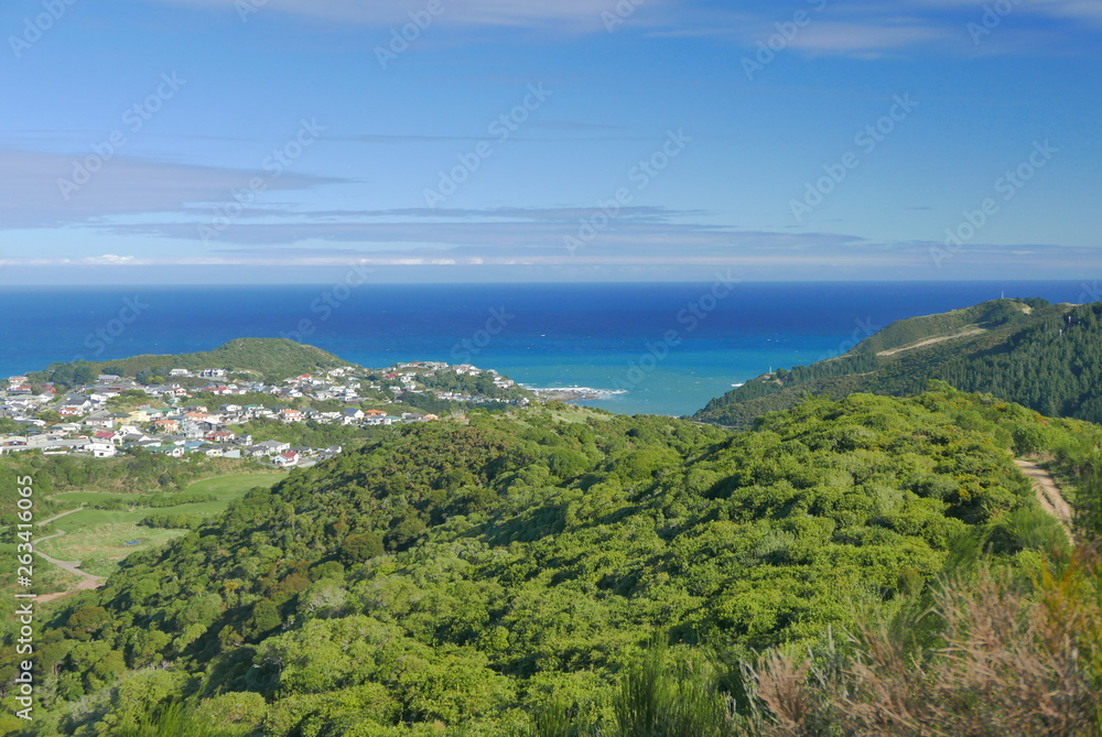 côte de wellington nouvelle zelande