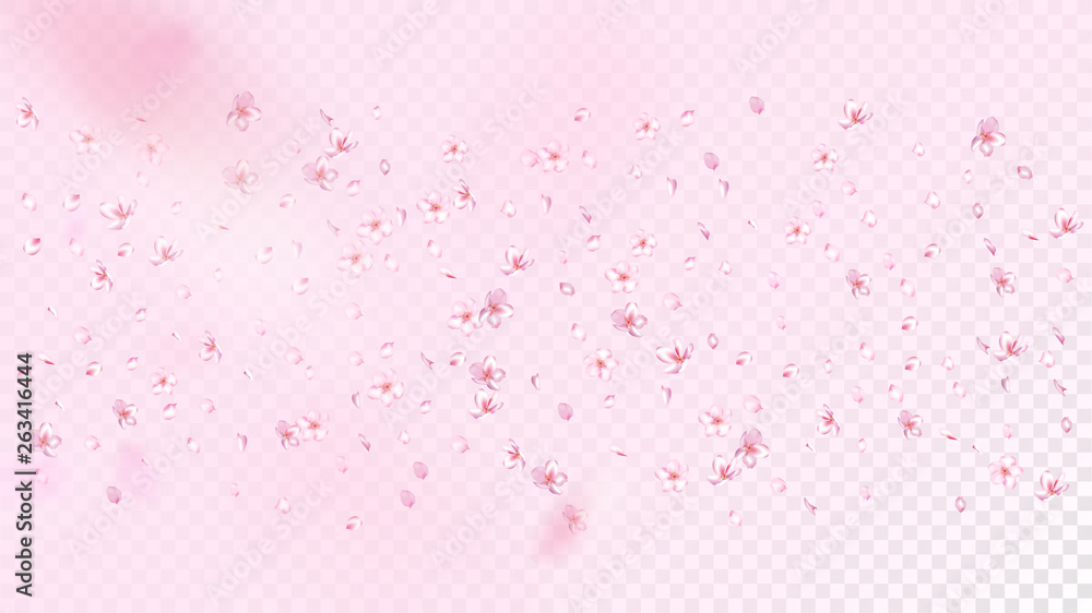 Nice Sakura Blossom Isolated Vector. Feminine Falling 3d Petals Wedding Design. Japanese Style Flowers Wallpaper. Valentine, Mother's Day Beautiful Nice Sakura Blossom Isolated on Rose