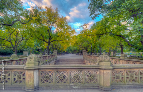 Fotografie Central Park Mall
