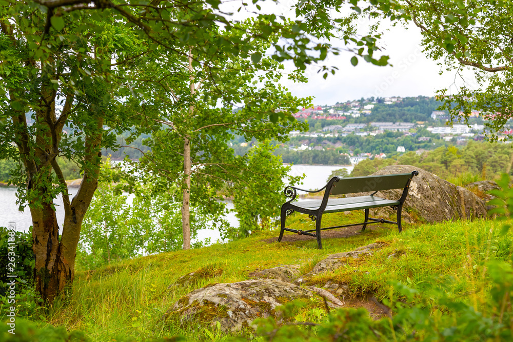 Bench without people in a picturesque place in nature. Bench overlooking the pond in a quiet place among the trees. Bench without people in a picturesque place in nature. Bench overlooking the pond in a quiet place among the trees.