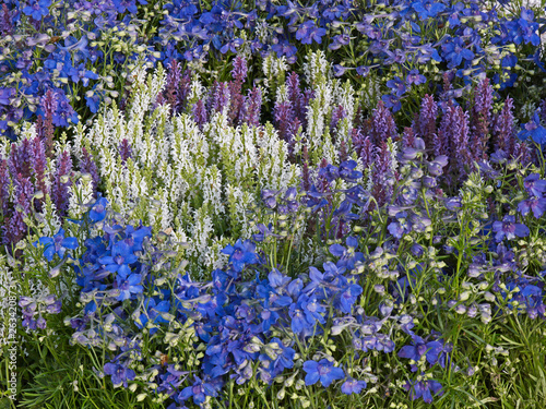 Colour co-ordinated flower border in a country garden