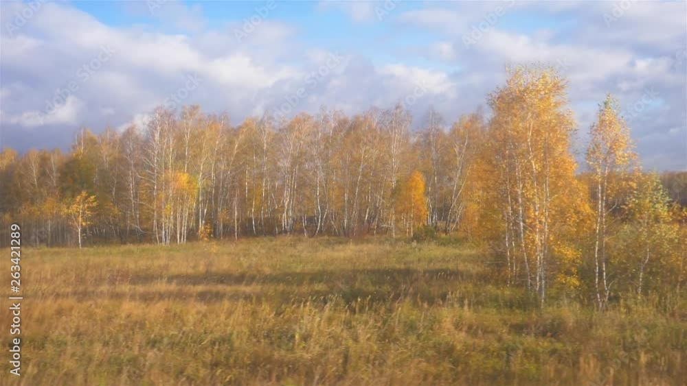 Beautiful nature landscape view from Trans Siberian window, Russia Beautiful nature landscape view from Trans Siberian window, Russia