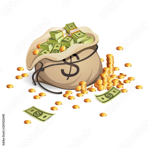 Bag of money and stack of gold coins. Packing in bundles of bank notes. Illustration isolated on white background.