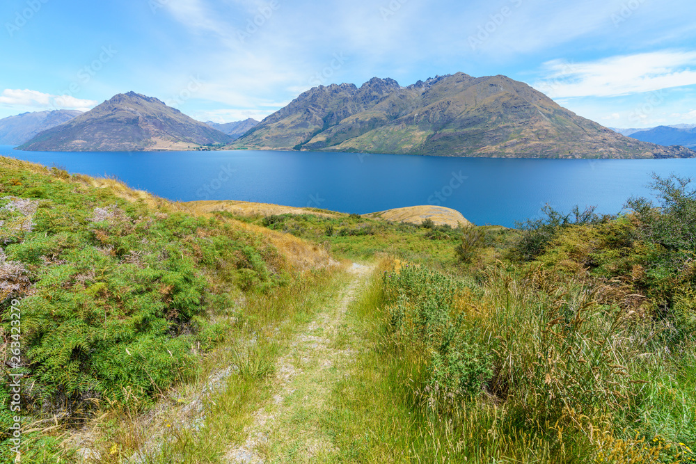 Obraz premium hiking jacks point track with view of lake wakatipu, queenstown, new zealand 12