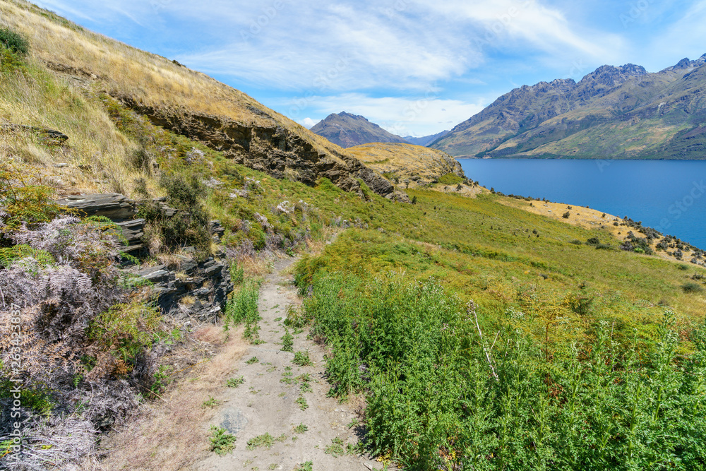 hiking jacks point track with view of lake wakatipu, queenstown, new zealand 46