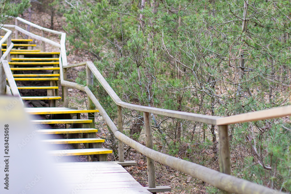 The old wooden bridge walkway natural forests