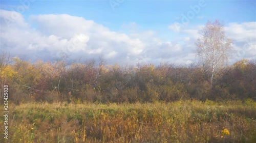 Wallpaper Mural Beautiful nature landscape view from Trans Siberian window, Russia Torontodigital.ca