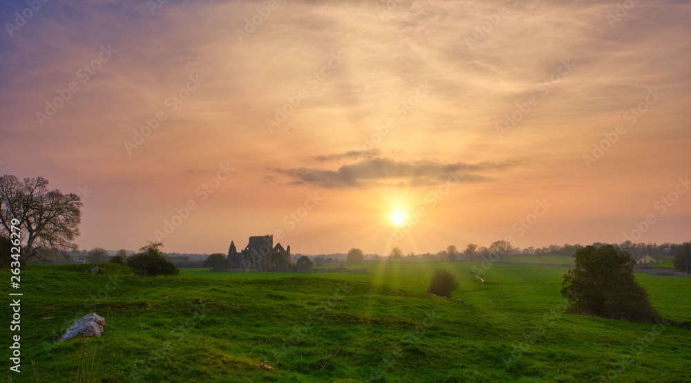 Fototapeta premium sunset over green field