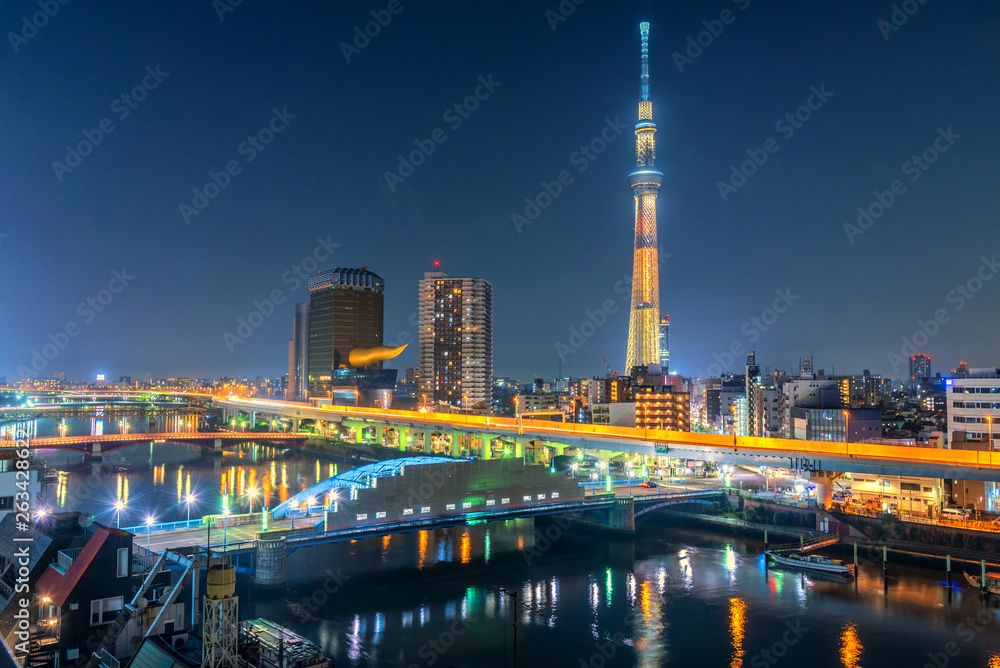 Tokyo, Japan cityscape with the Skytree