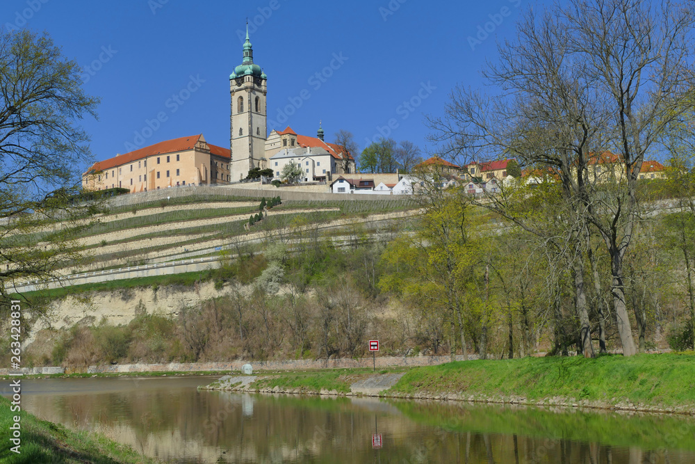 Historical Castle with vineyard Melnik above confluence of Vltava River and Labe River