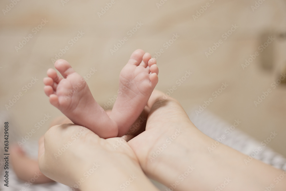 holding a newborn baby's feet holding a newborn baby's feet