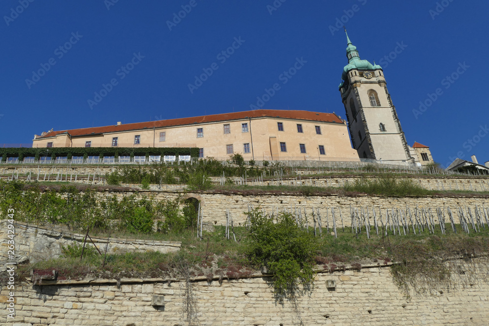 Melnik Castle and royal vineyard, Czech Republic