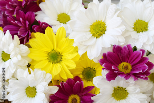 Pink  yellow and white chamomile flowers border. Birthday  Mother s day  Valentine s Day  March 8  Wedding card or invitation. Floral decorative frame. Festive background. Top view