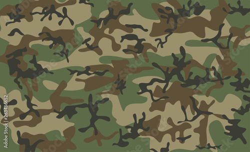Camouflage pattern background. Classic clothing style masking camo repeat print. Green brown black olive colors forest texture. Fabric and fashion textile pint. Design element. Vector illustration.