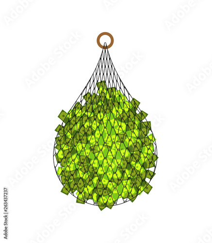 Fishing net and money isolated. fishnet big catch dollar cartoon vector illustration