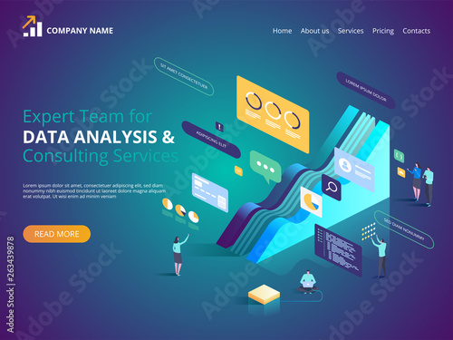 Expert Team for Data analysis & Consulting Services. Vector isometric