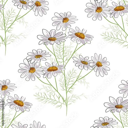 Vector floral seamless pattern with summer yellow herbs and chamomile camomile flowers. Black background.