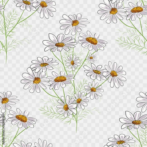 Vector floral seamless pattern with summer yellow herbs and chamomile camomile flowers.