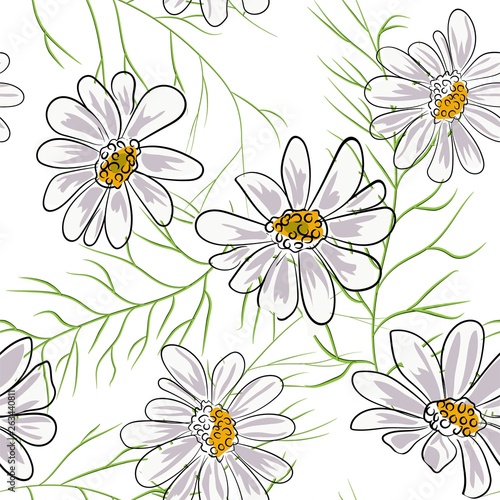 Seamless pattern with chamomile, camomile flowers on white background.