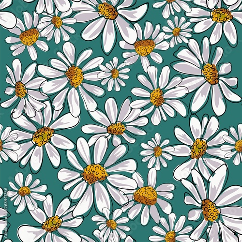 Seamless pattern with chamomile, camomile flowers on white background.