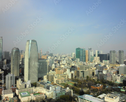 東京タワーからの東京の景色 © ryu