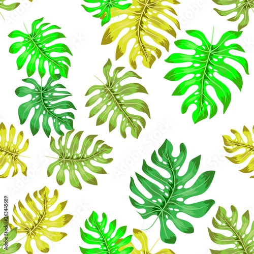Tropical seamless pattern with exotic palm leaves. Vector illustration.