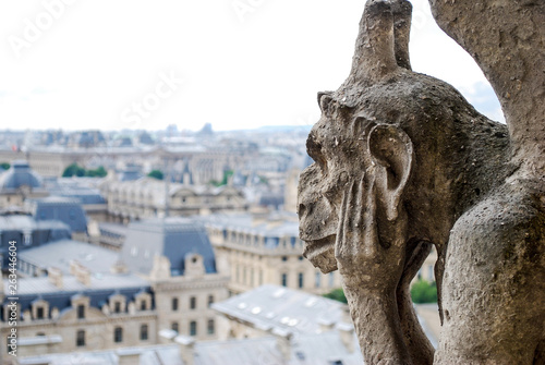 Gargoyle at Notre Dame © Fernando