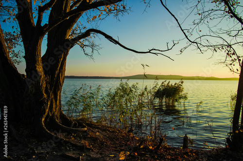 Φωτογραφία Abendstimmung am Müggelsee