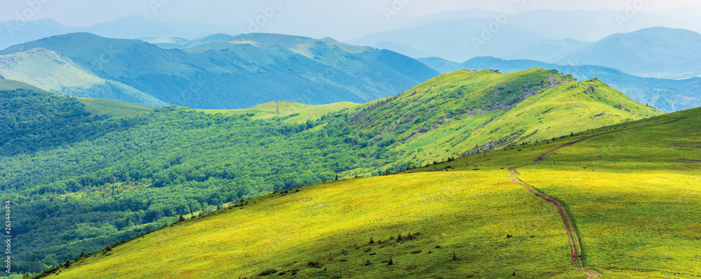 mountain panorama on cloudy summer noon. footpath through green alpine meadows. beautiful nature landscape in dappled light. forested distant slopes with rocks on the edge