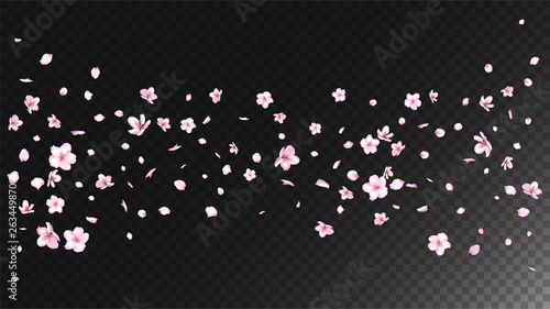 Nice Sakura Blossom Isolated Vector. Beautiful Blowing 3d Petals Wedding Border. Japanese Style Flowers Illustration. Valentine, Mother's Day Realistic Nice Sakura Blossom Isolated on Black