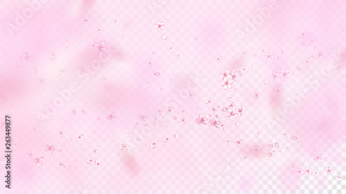 Nice Sakura Blossom Isolated Vector. Beautiful Blowing 3d Petals Wedding Pattern. Japanese Style Flowers Wallpaper. Valentine, Mother's Day Pastel Nice Sakura Blossom Isolated on Rose