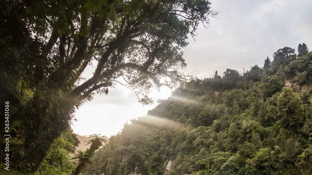 Sunset sunbeam over green forest in wild nature Time lapse Sunset sunbeam over green forest in wild nature Time lapse