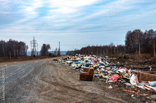 Wallpaper Mural garbage on the road Torontodigital.ca