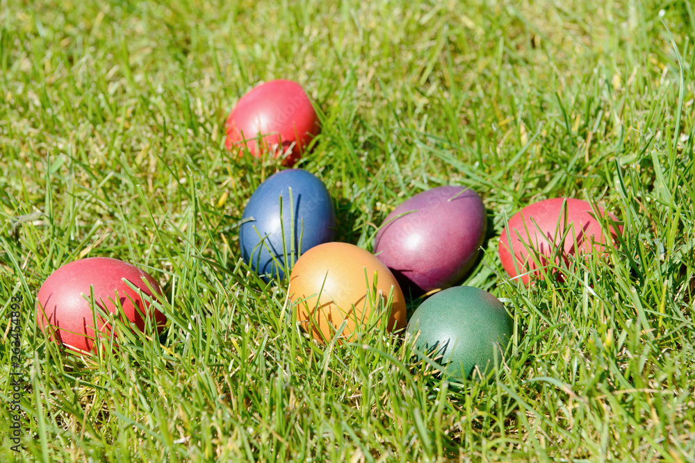 colorful Easter eggs lying on meadow