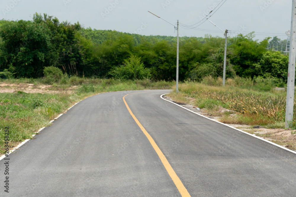 Asphalt roads in the forest, rural areas with electric poles on the side.