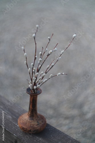 Willow branches in a clay jug in the yard
