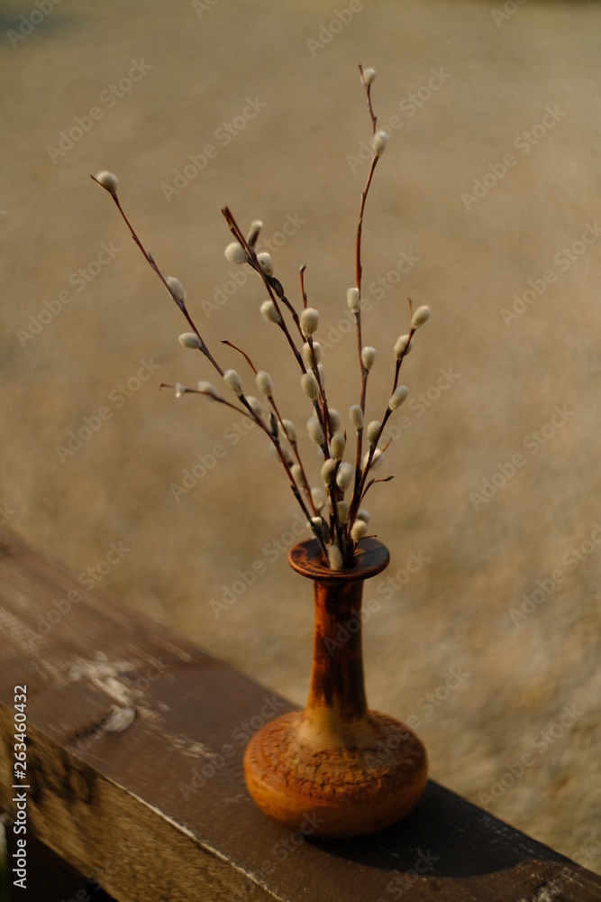 Willow branches in a clay jug in the yard Willow branches in a clay jug in the yard