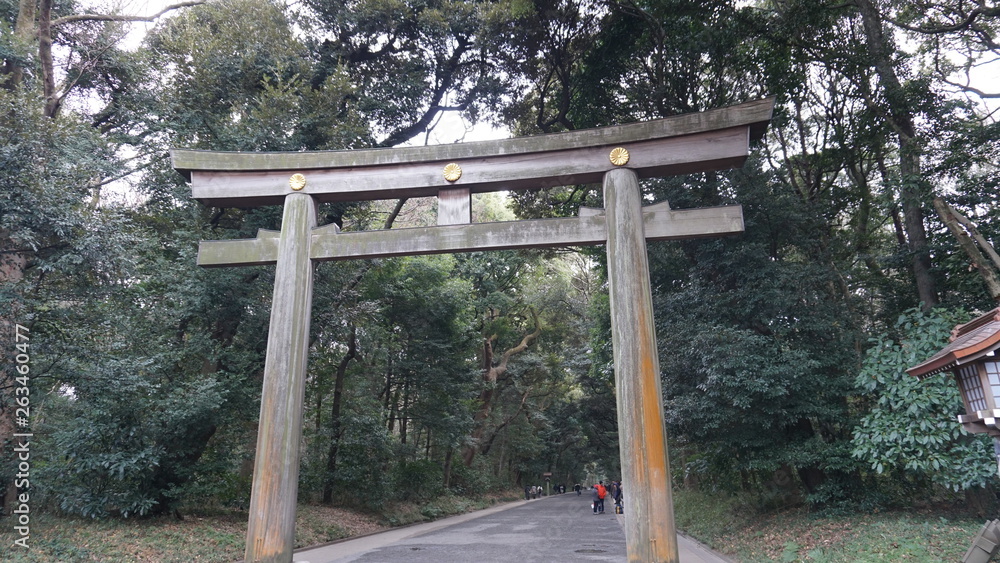 明治神宮鳥居