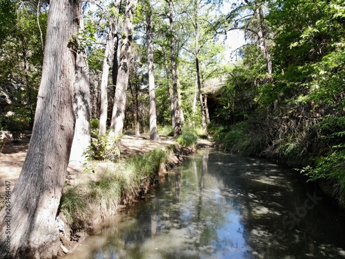 Hill Country Stream